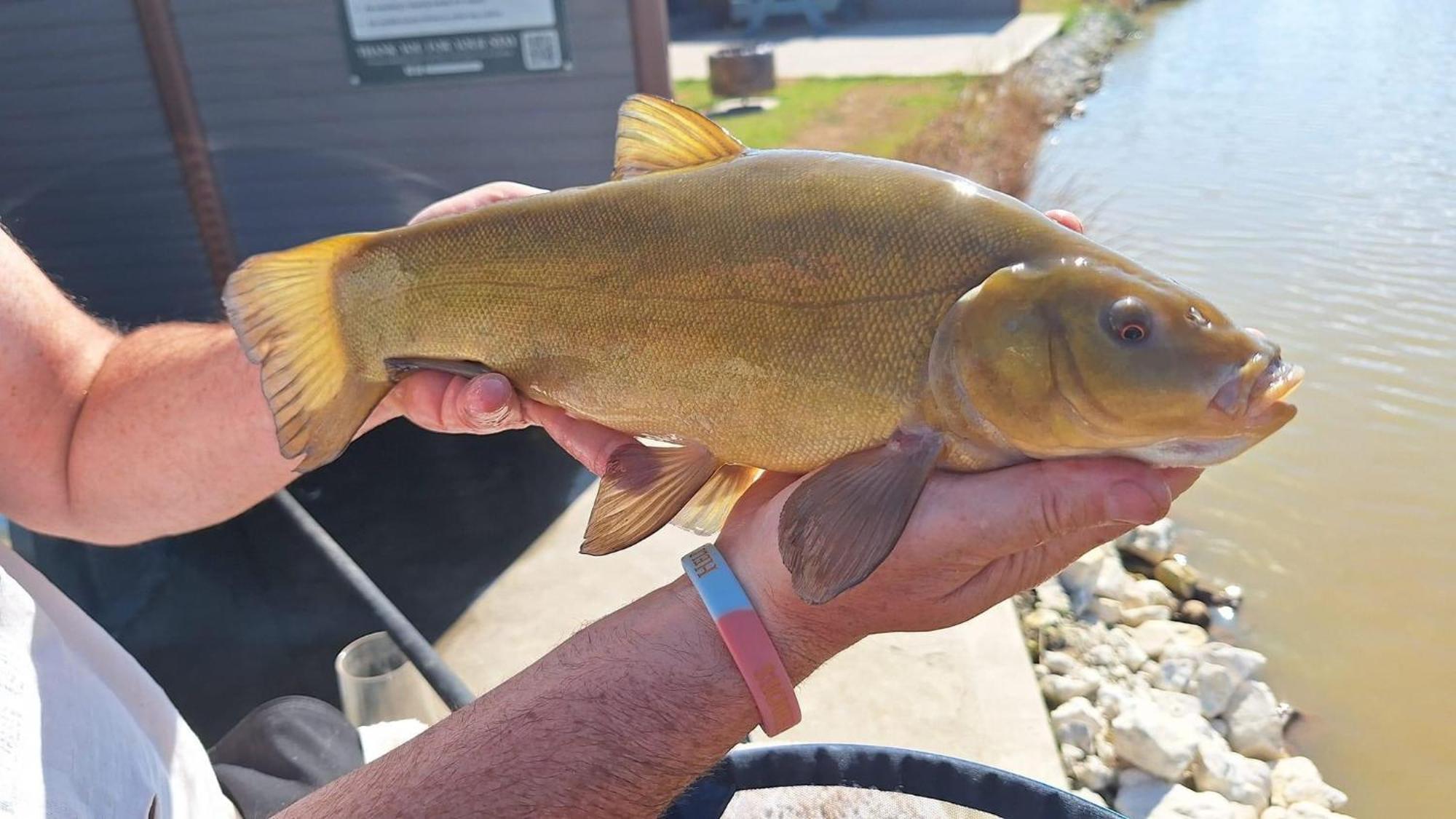 Lakeside Fishing Retreats Boston Pokój zdjęcie