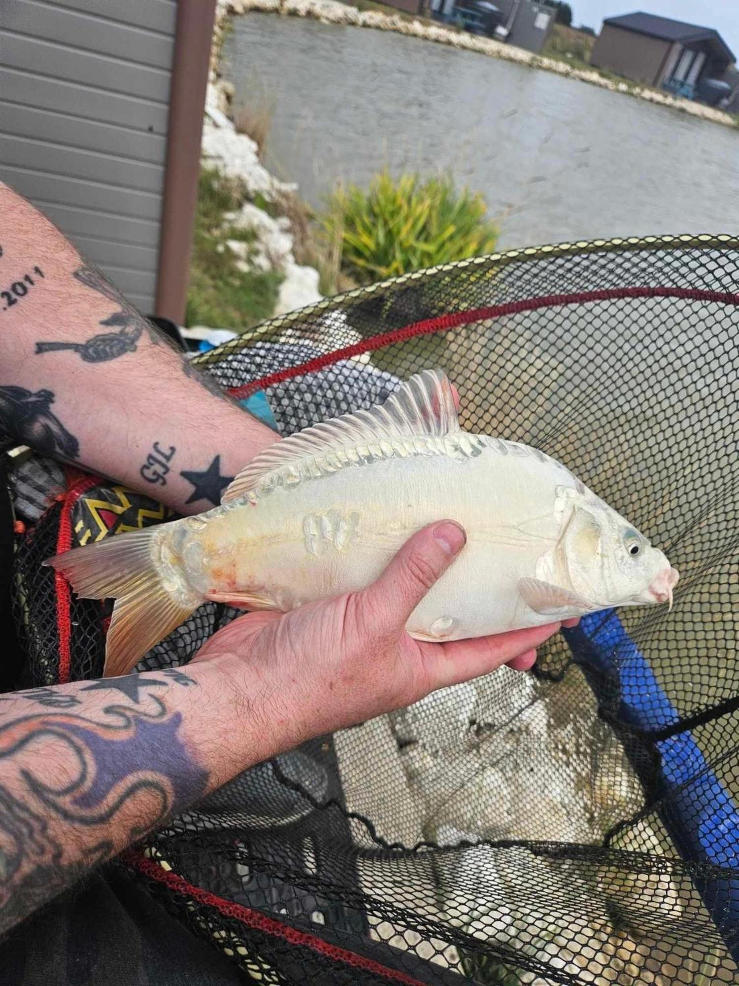 Lakeside Fishing Retreats Boston Pokój zdjęcie