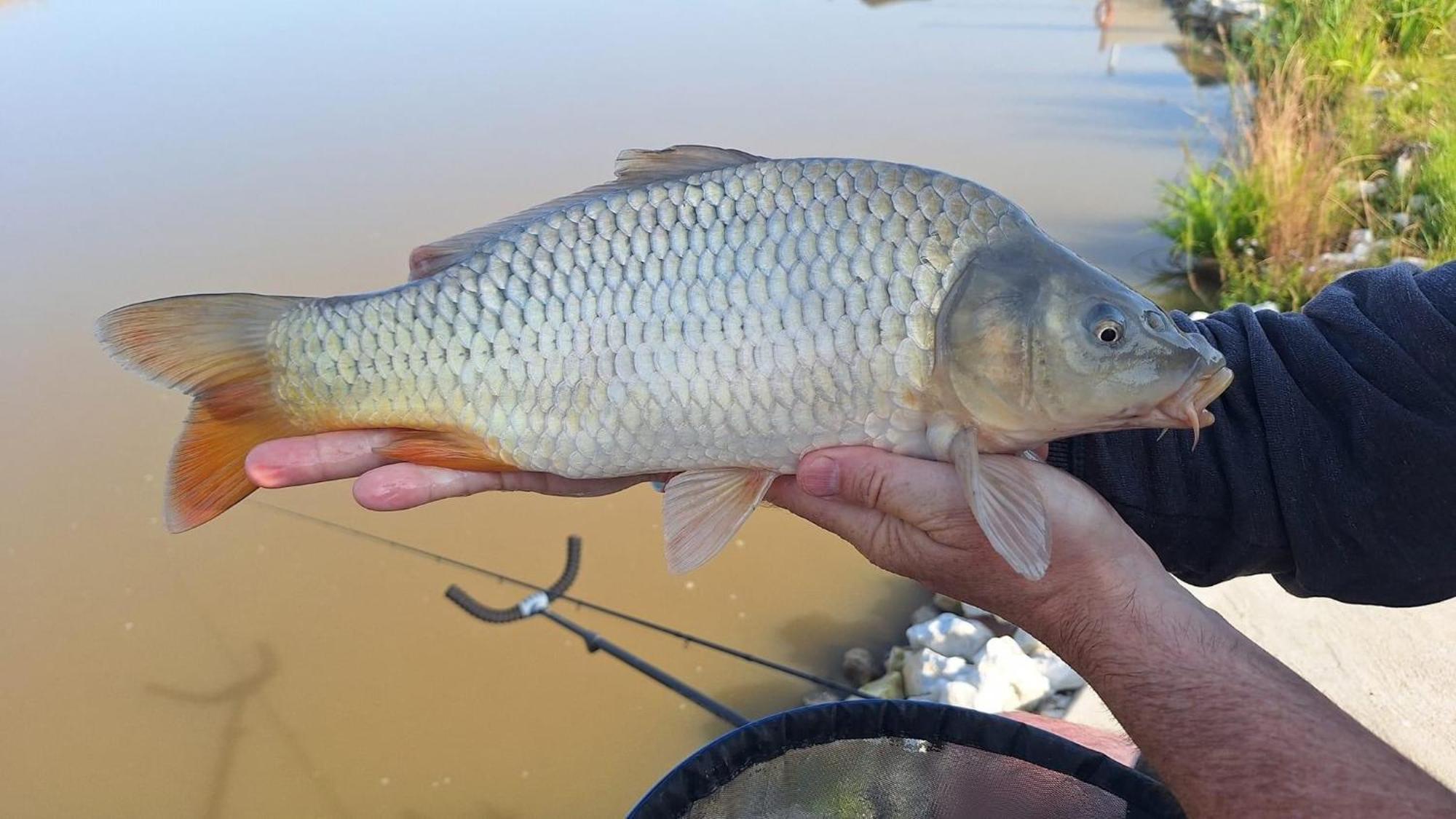 Lakeside Fishing Retreats Boston Pokój zdjęcie