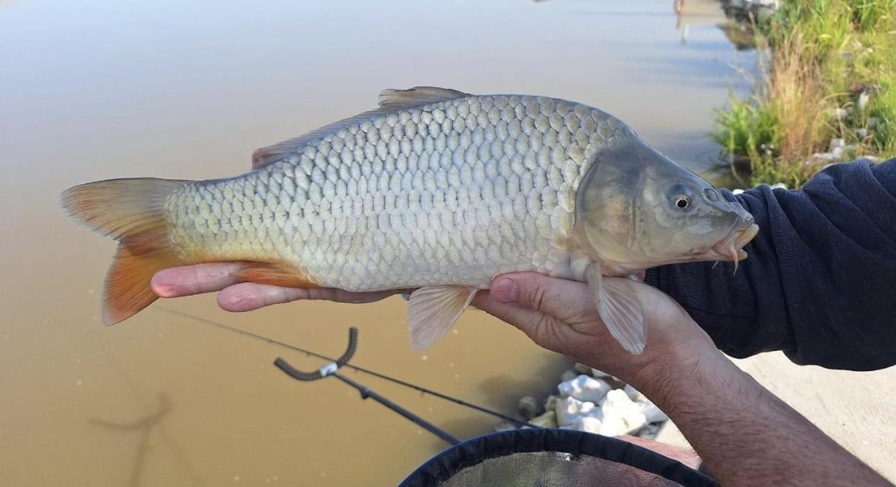 Lakeside Fishing Retreats Boston Pokój zdjęcie