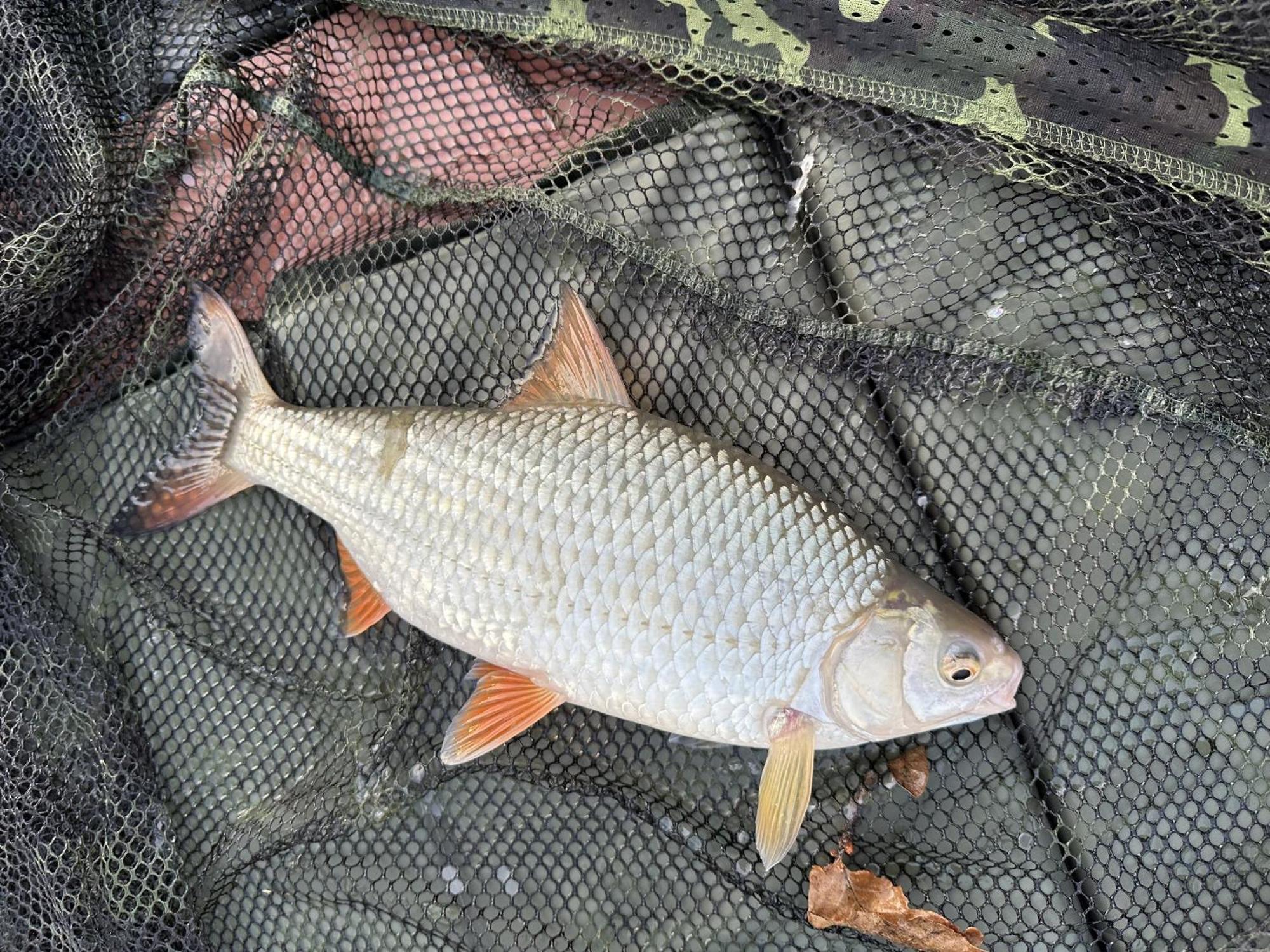 Lakeside Fishing Retreats Boston Pokój zdjęcie